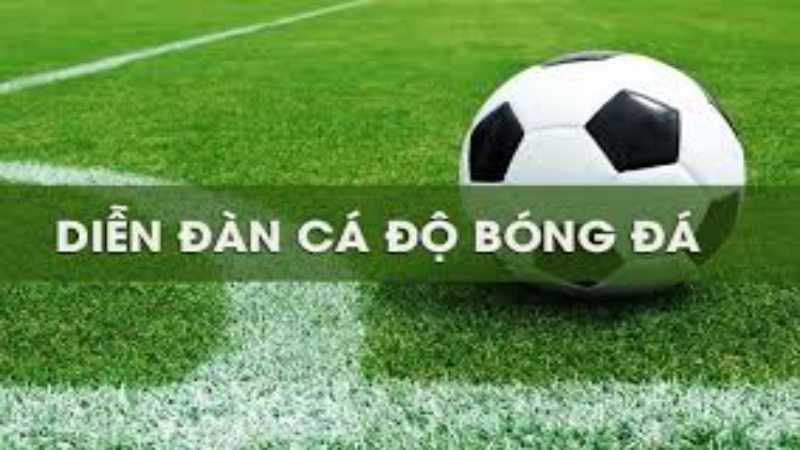 diễn đàn cá độ bóng đá